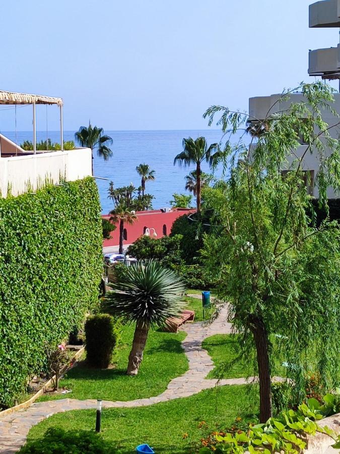 Apartamentos Benalbeach 贝纳尔马德纳 外观 照片